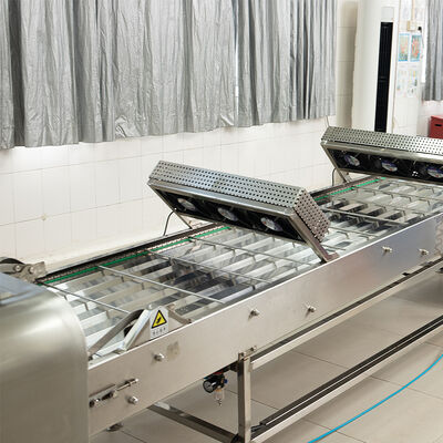 Industrial Automatic Marshalling Cooling Conveyor Robust Construction For Production And Processing