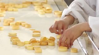 Lini Produksi Cangkang Tart Otomatis